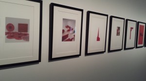 A selection from Srubbrush Bird Book