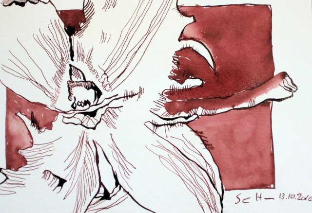 Buchecker - 17 x 22 cm - Tusche auf Aquarellkarton (c) Zeichnung von Susanne Haun