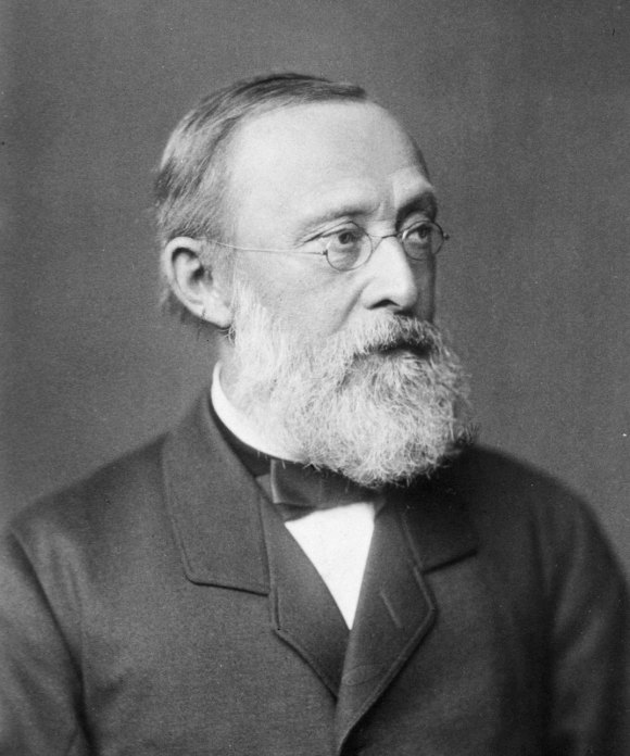 Portrait of Rudolf Virchow, 1885 (author unknown).