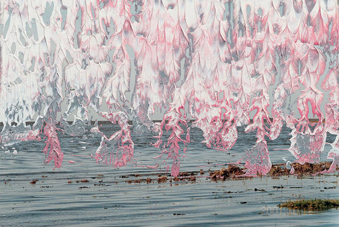 richter8