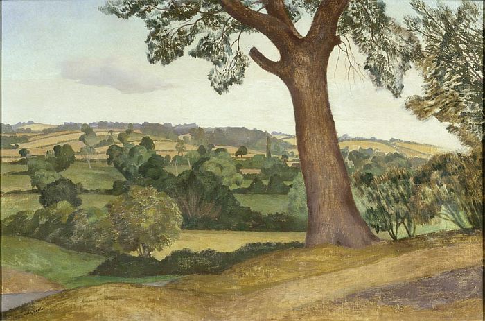 john nash 3