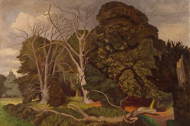 john nash 5