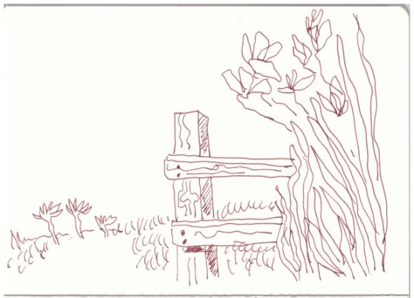 Bathampton (c) Zeichnung von Susanne Haun