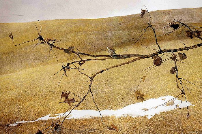 wyeth5