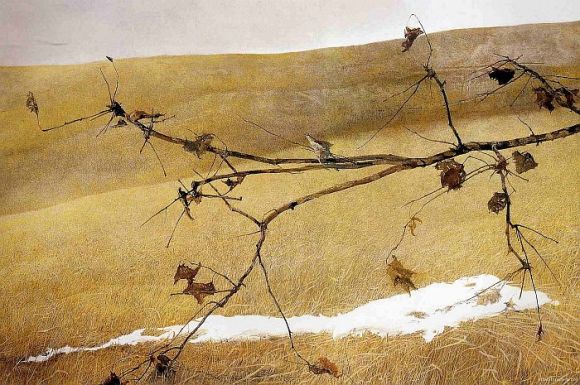 wyeth5