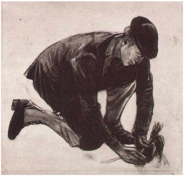 vg7