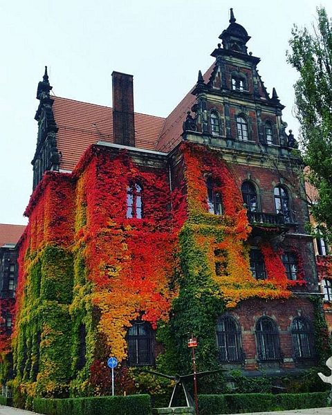 Wroclaw