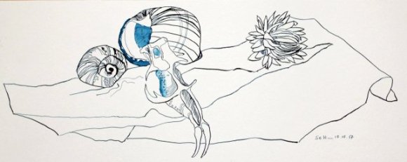 Freundschaft - Vanitas Stillleben Vers. 1 - 20 x 50 cm - Hahnemühle Aquarellkarton (c) Zeichnung von Susanne Haun