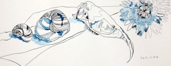 Freundschaft - Vanitas Stillleben Vers. 2 - 20 x 50 cm - Hahnemühle Aquarellkarton (c) Zeichnung von Susanne Haun