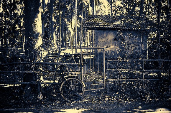 Maharashtra 8 januari 2017 10