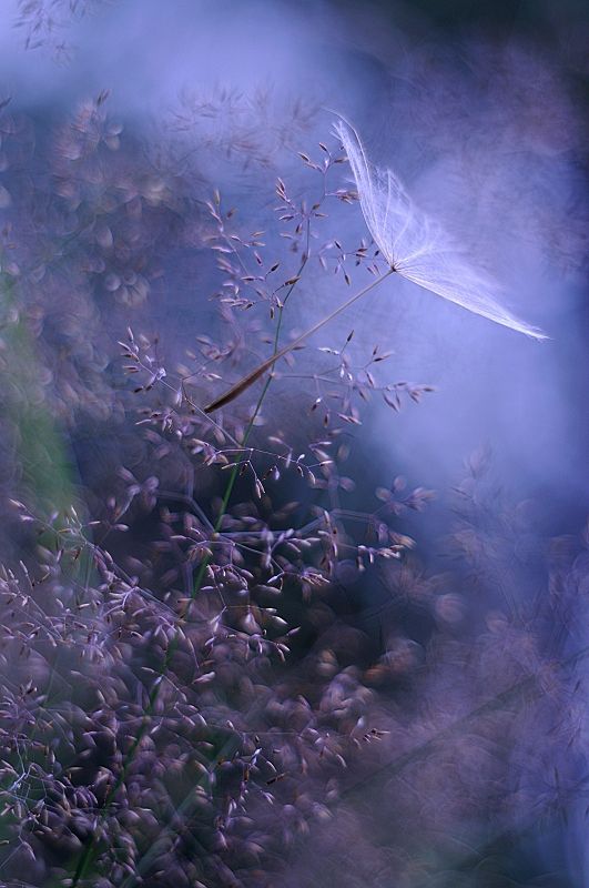 005c905537b9f0a17619c1c5cdc8b3a4