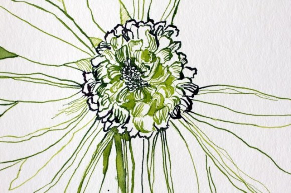 Entstehung Gerbera - 25 x 25 cm - Tusche auf Hahnemuehle Aquarellkarton (c) Zeichnung von Susanne Haun