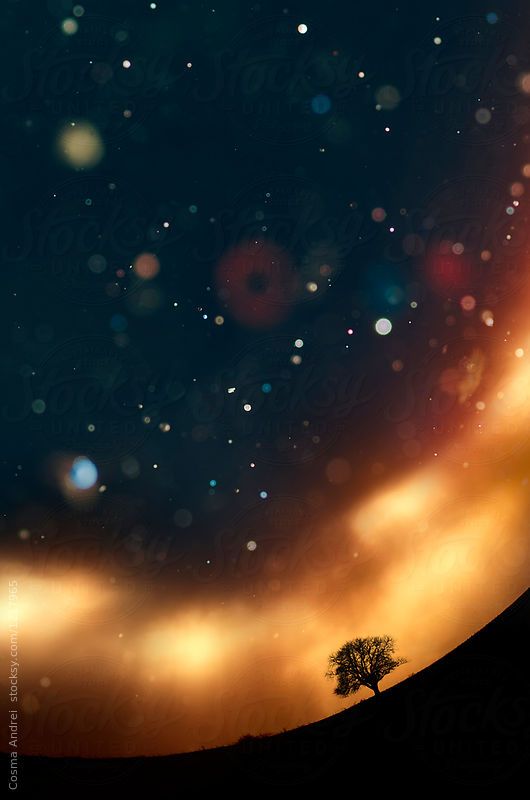 086d4e71c2dd72edd9db27d54d2153d1