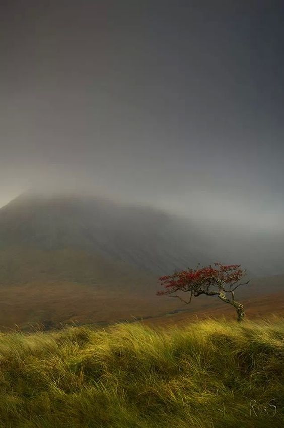 7028a844940c817db2b943e1769abd36