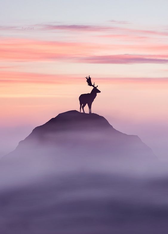 1e3f3b8011bf7b164011c4584700cfb0