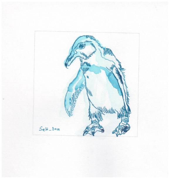 Afrika, Pinguin, Zeichnung von Susanne Haun (c) VG Bild-Kunst, Bonn 2019