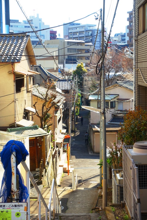 Tokyo, alleys, back way, residential area, Sunday Afternoon Walk